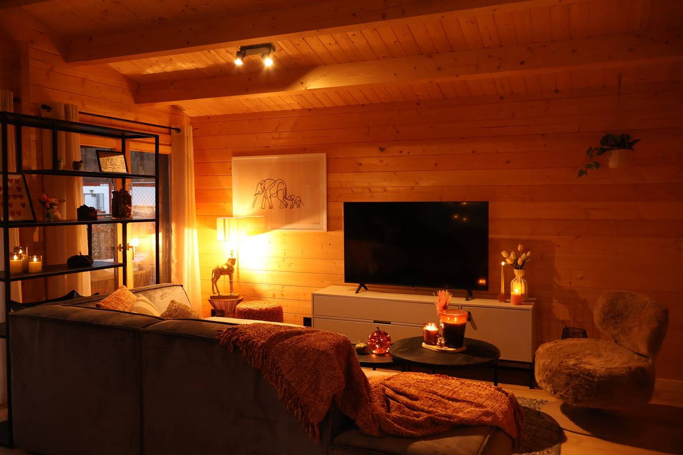 Gezellig 6-persoons huisje met privé sauna in bosrijke omgeving in Nationalpark De Groote Peel