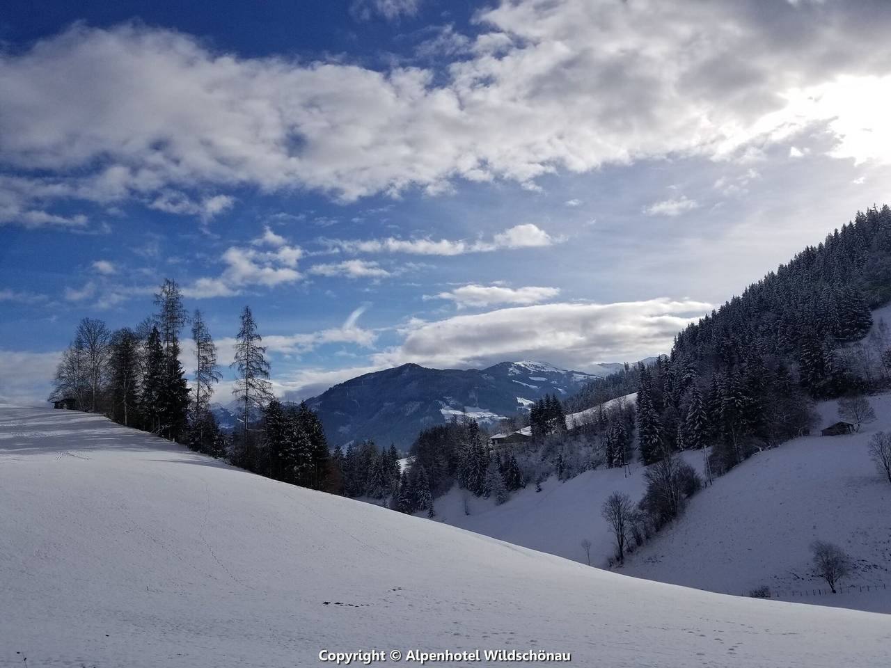 Ganze Wohnung, Chalet in Oberau nahe Skipisten in Wildschönau, Kitzbüheler Alpen