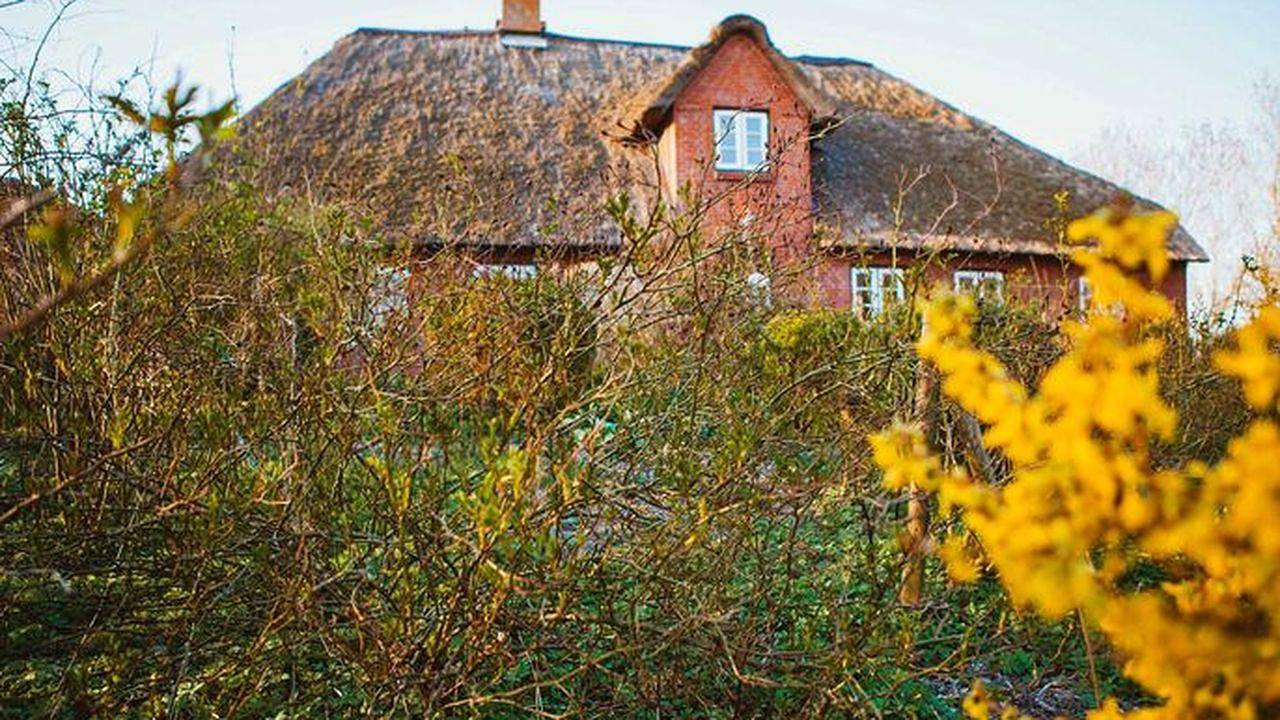 Ganze Ferienwohnung, Ferienwohnung für 4 Personen (65 m²) in Pellworm in Pellworm, Nordfriesland