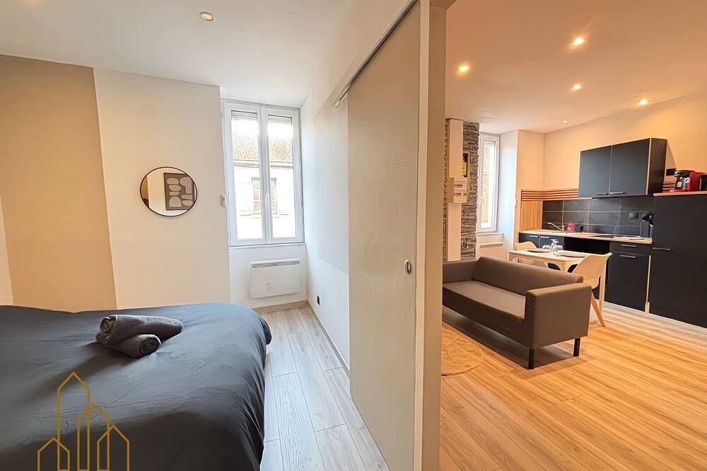 Appartement entier, Le Cocon Rollin in Roanne, Région de Roanne