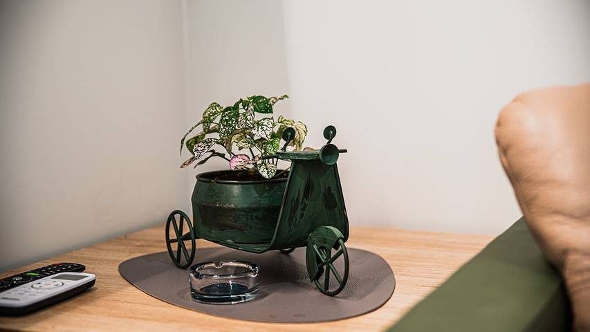 Ferienwohnung für 6 Personen, mit Terrasse, mit Haustier in Slowenien