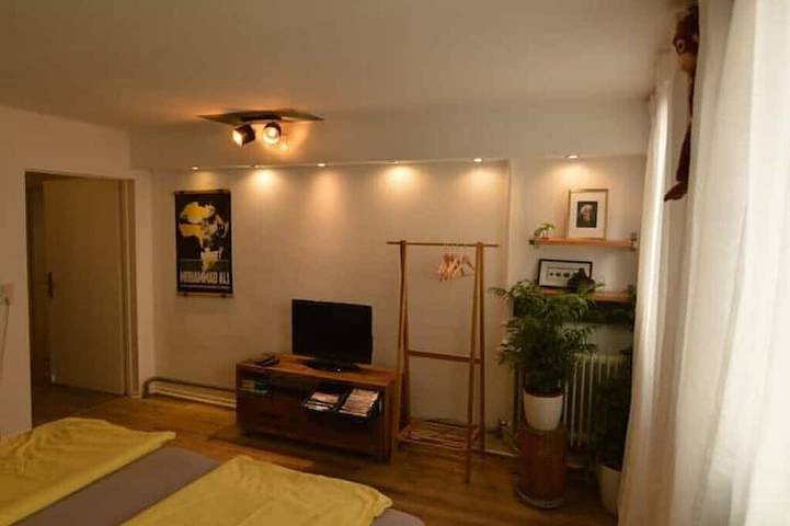 Appartement entier, Gemütlich Zentrale Souterraint Wohnung 65qm in Nuremberg, Franconie