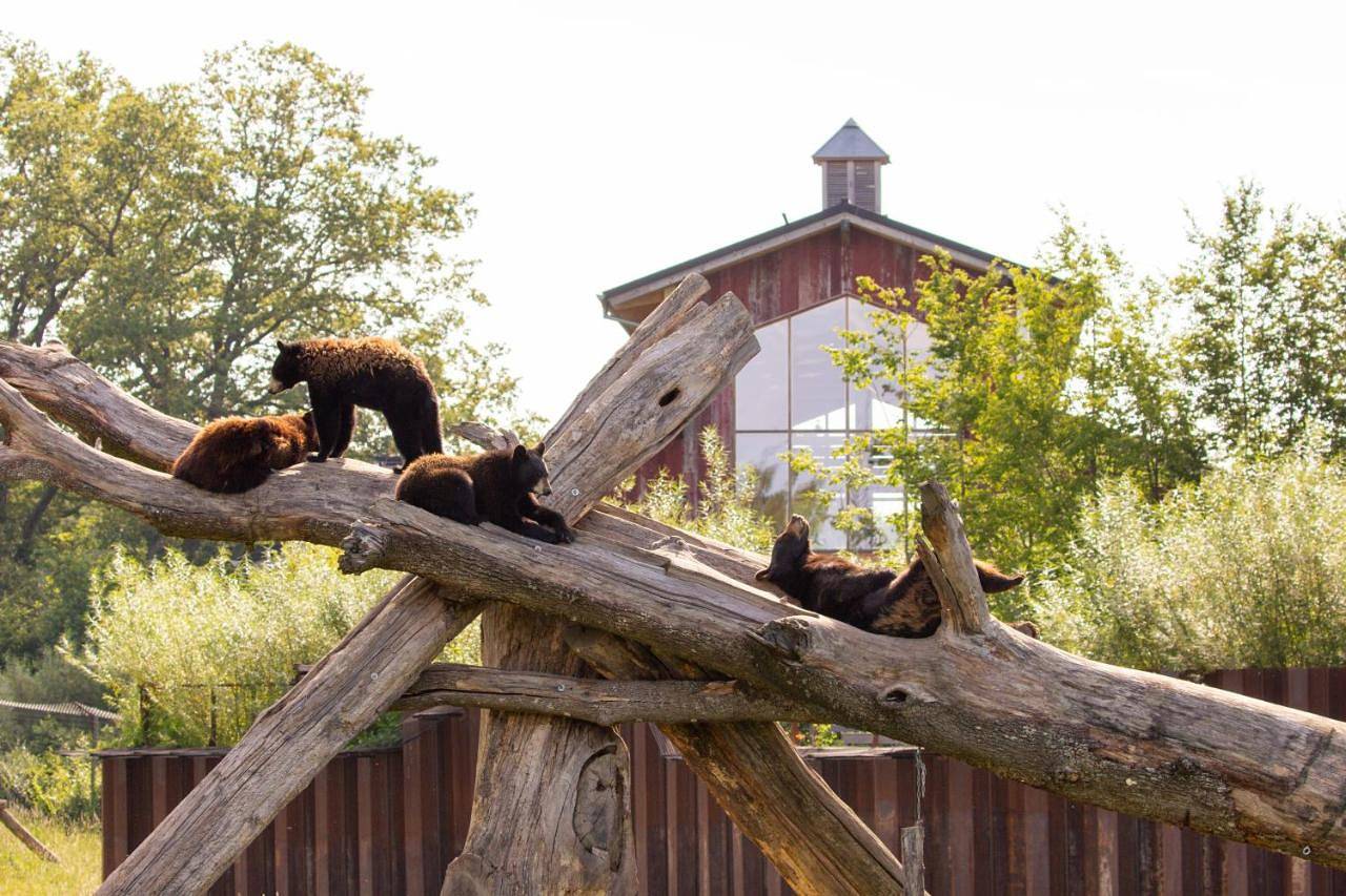 Parc Animalier de Sainte-Croix in Rhodes (Moselle), Sarrebourg