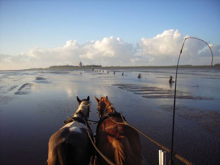 Ganze Ferienwohnung, Residenz Stranddüne in Duhnen, Cuxhaven