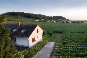 Bauernhof für 4 Personen, mit Garten und Terrasse in Kaiserstuhl