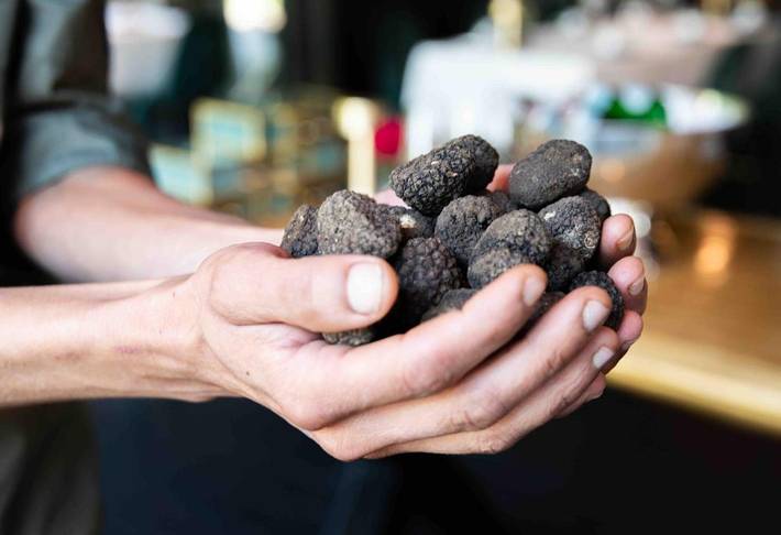 Hôtel pour 2 personnes, avec vue et jardin à Wageningue - 4