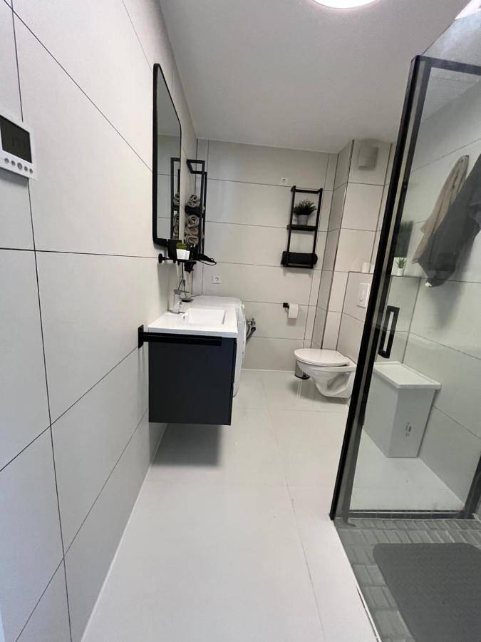 Gîte pour 5 personnes, avec terrasse à Sinsheim - 3