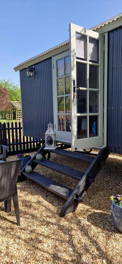 Dolly at Lowlands in Hampshire