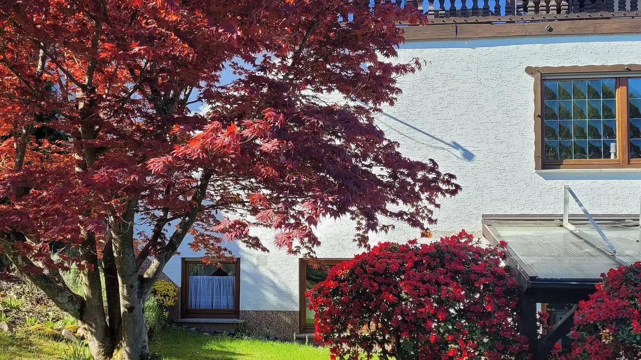 Ganze Ferienwohnung, Ferienwohnung für 2 Personen (70 m²) in Hachenburg in Hachenburg, Westerwald