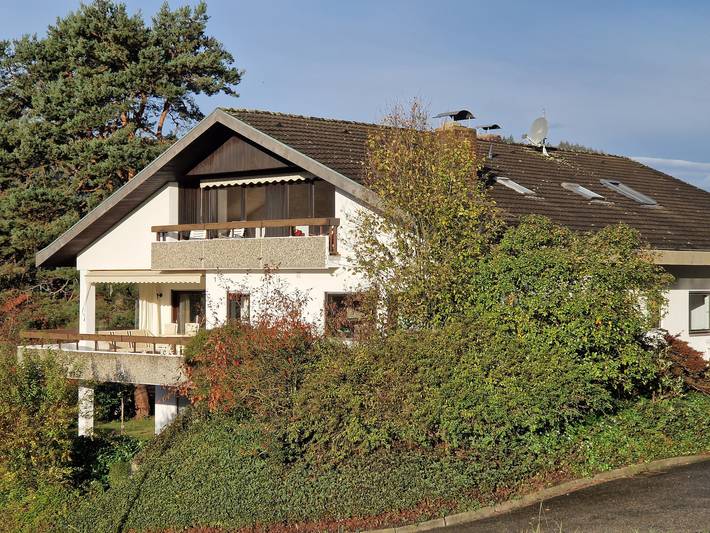Ganze Ferienwohnung, Villa Schwarzwaldblick (Fewo in Seelbach, Mittlerer Schwarzwald