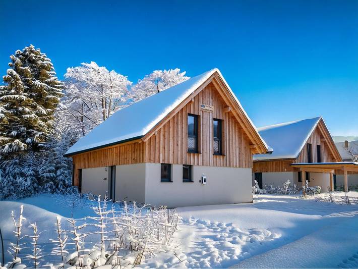 Ferienhaus für 10 Personen, mit Terrasse und Sauna sowie Garten - 1