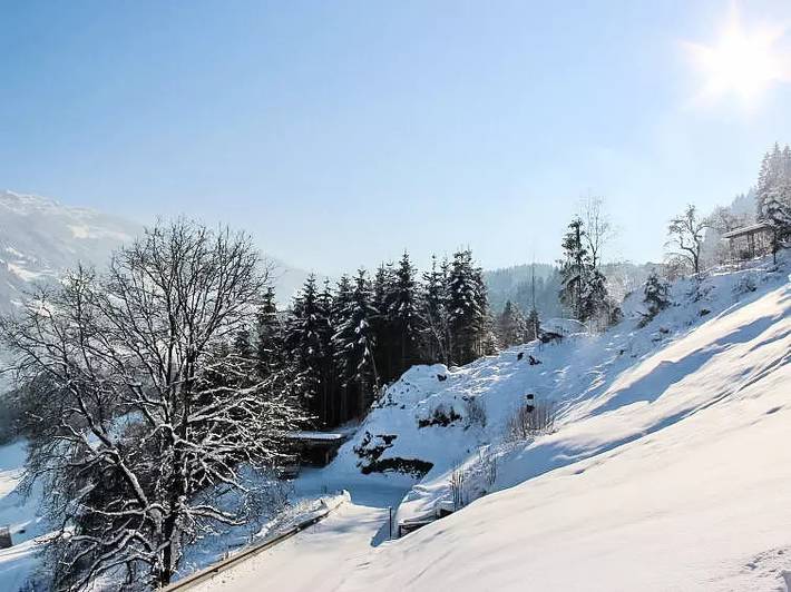 Geheel appartement, 3 Kamers 6 Personen in Tux Alps, Kaltenbach