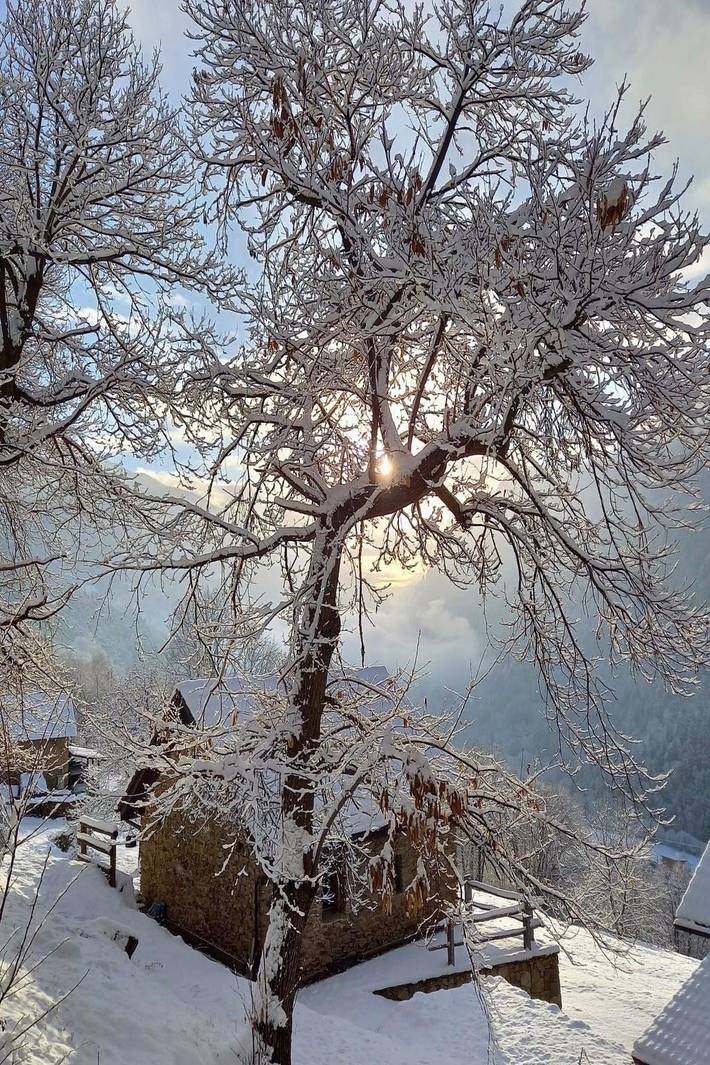 Ferienhaus für 5 Personen, mit Garten, mit Haustier in Faido