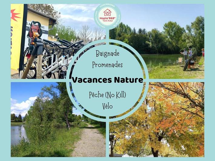 Location de vacances pour 5 personnes, avec terrasse ainsi que vue et piscine, animaux acceptés à Boofzheim - 4