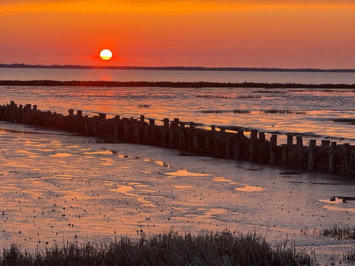 Ferienhaus für 16 Personen, mit Pool und Sauna in Biikebrennen - 2