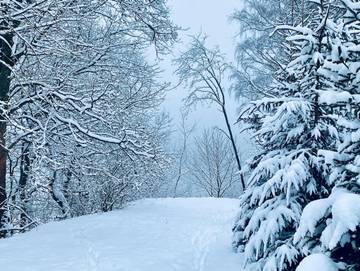 Ferienhaus für 4 Personen in Klingenthal, Chemnitz und Umgebung, Bild 4
