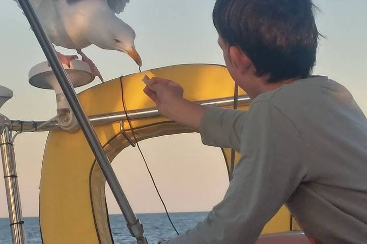 Péniche pour 6 personnes dans les Pays de la Loire - 3