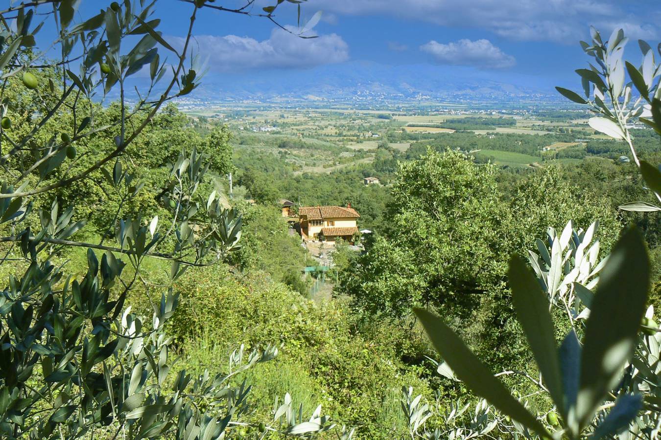 La Rogaia in Civitella in Val di Chiana, Chianti
