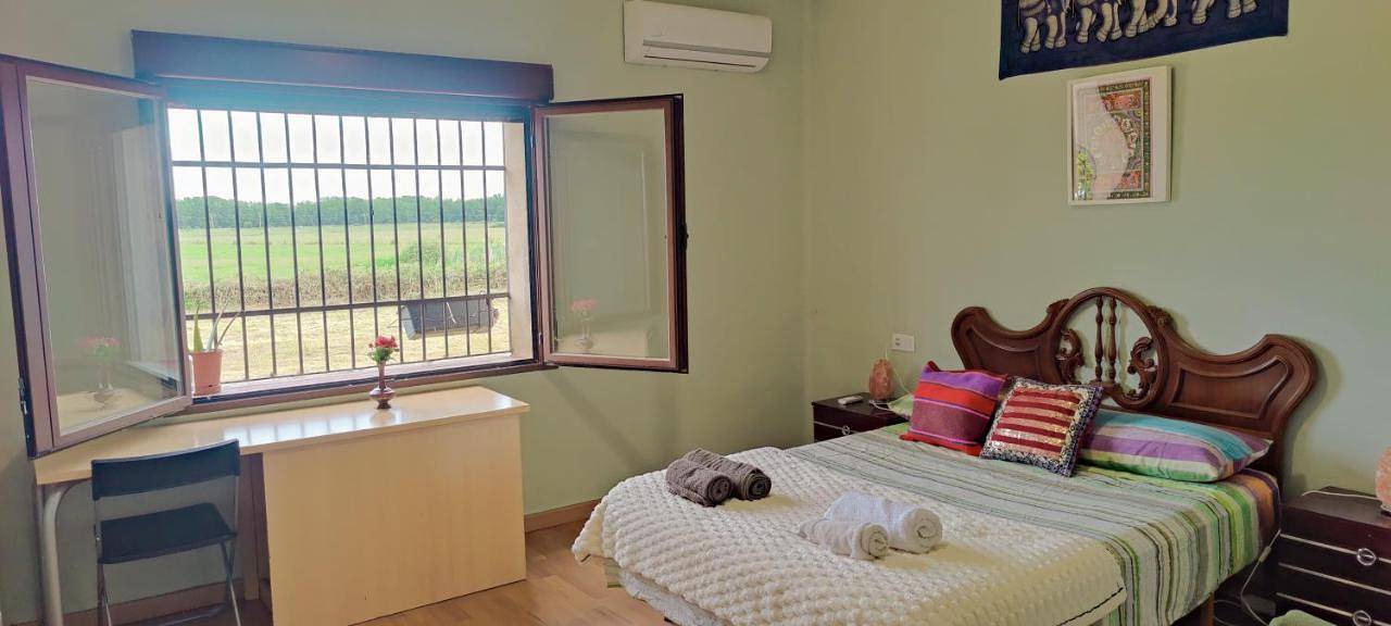 Apartamento vacacional entero, Superior Chalet in Montehermoso, Provincia de Cáceres