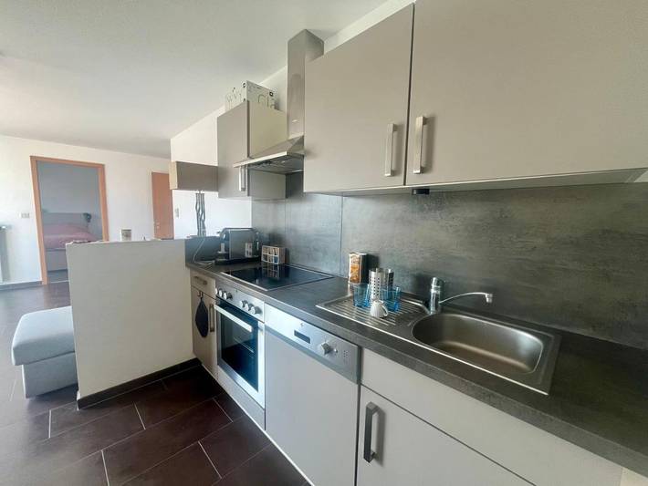 Gîte pour 4 personnes, avec terrasse et vue à Lutterbach - 3