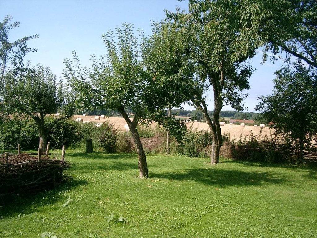 Grevenstein in der Gutsscheune Thorstorf in Thorstorf, Warnow