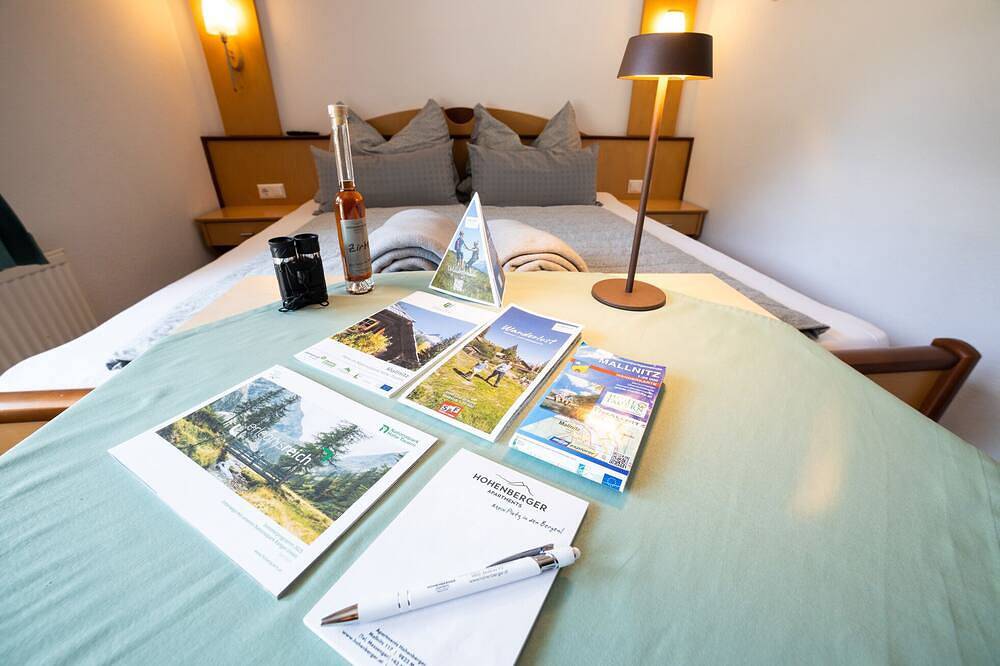 Ganze Wohnung, Almstudio [3] - Apartments Hohenberger in Mallnitz, Lieser-Maltatal