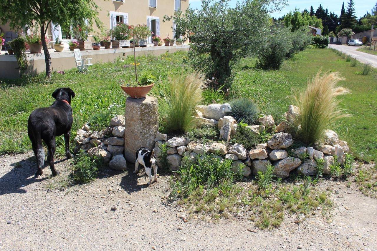 La Sarriette - Chambres d'hôtes et gîte d'étape à Eygalières in Eygalières, Région d'Arles