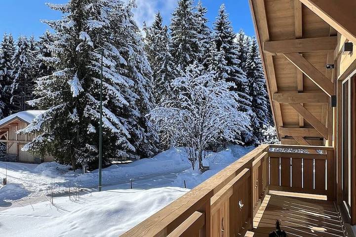 Chalet Familial vue Mont Blanc à 100m des Pistes de ski in Praz de Lys, Taninges