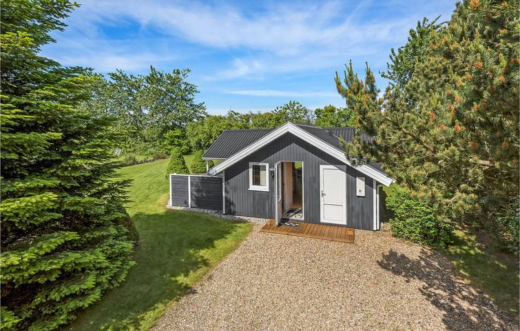 Ferienhaus für 5 Personen, mit Terrasse und Sauna, mit Haustier in Skaven Strand - 3