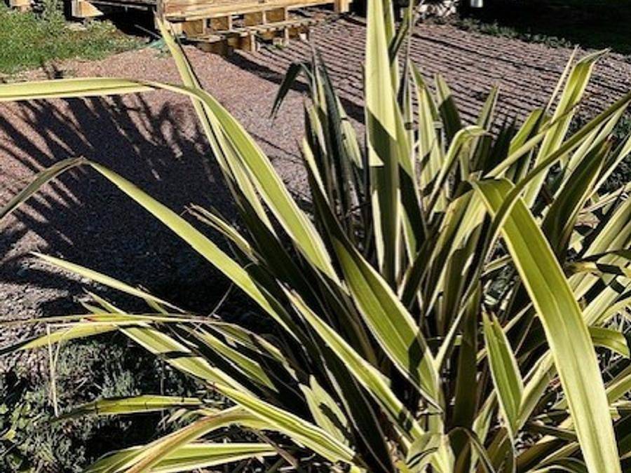 Camping L'Ile Verte - Stacaravan 4 personen - Klassieke" stacaravan - 4 + 1 slaapplaatsen in Genouillé, Rochefort en omgeving