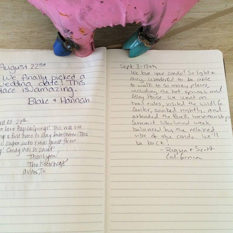 Ganze Wohnung, Schickes Loft in der Innenstadt mit toller Aussicht! in Pagosa Springs, San Juan National Forest