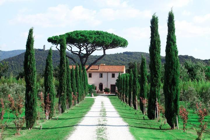 Agriturismo per 5 persone, con animali domestici in Castagneto Carducci