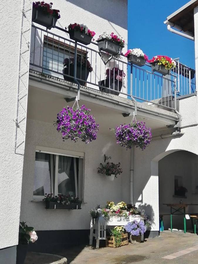 Ferienwohnung für 6 Personen in Hillscheid
