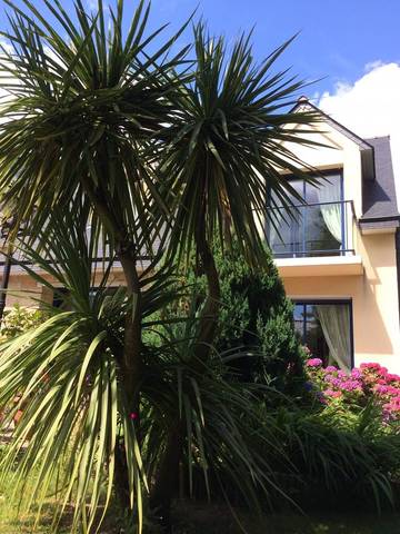 Gîte für 2 Personen in Baden, Vannes und Umgebung, Bild 4