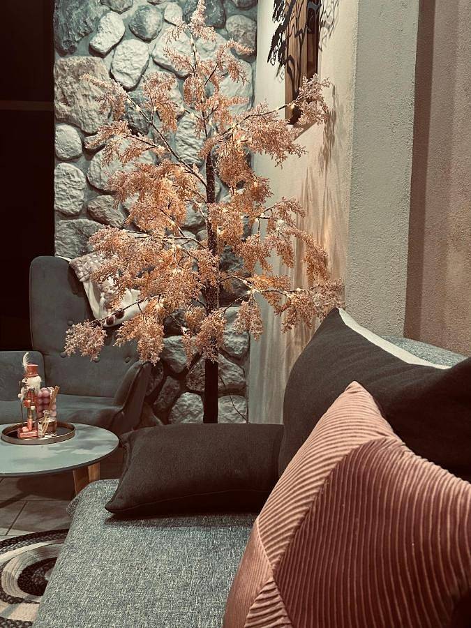 Gîte pour 2 personnes, avec jardin et vue, animaux acceptés dans Kalambáka - 4