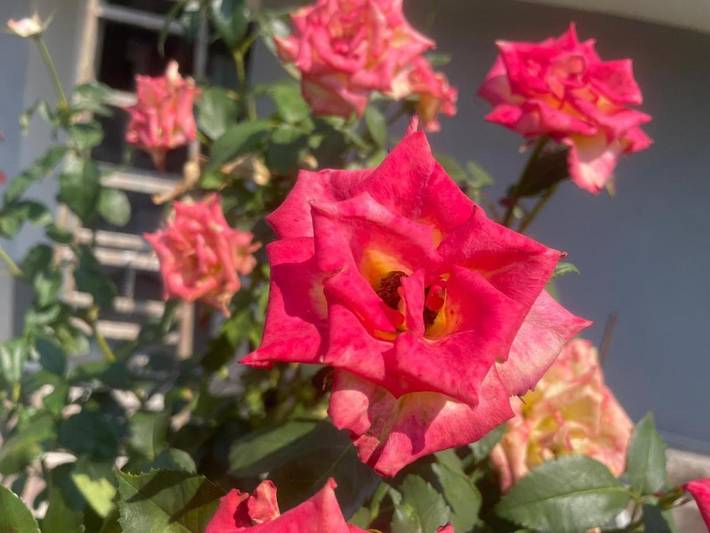 B&b per 2 persone, con giardino e panorama in Sassuolo