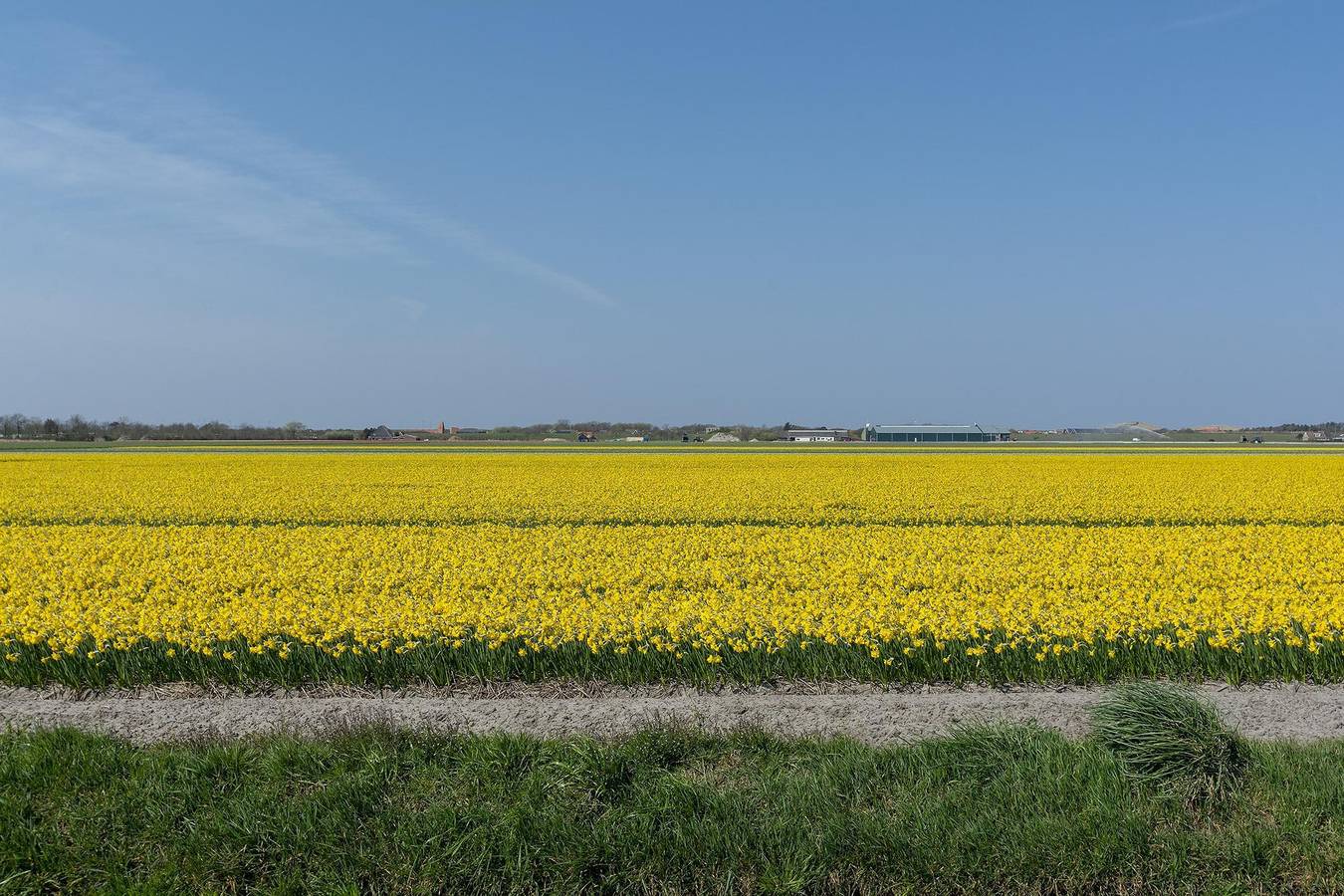 Callinghe Vakanties — Résidence Juliana 77 in Julianadorp aan Zee, Julianadorp