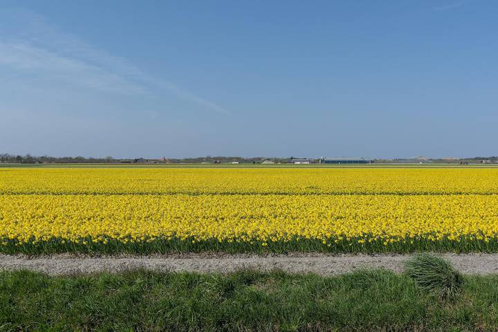 Ferienhaus für 4 Personen, mit Balkon/Terrasse und Balkon in Julianadorp - 3