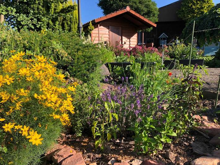 Ferienwohnung für 4 Personen, mit Garten und Terrasse, kinderfreundlich im Odenwald - 4