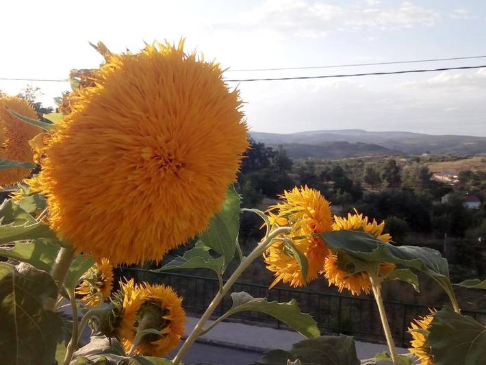 Casa de vacaciones para 4 personas, con jardín y vistas en Parque Natural de las Arribes del Duero - 2