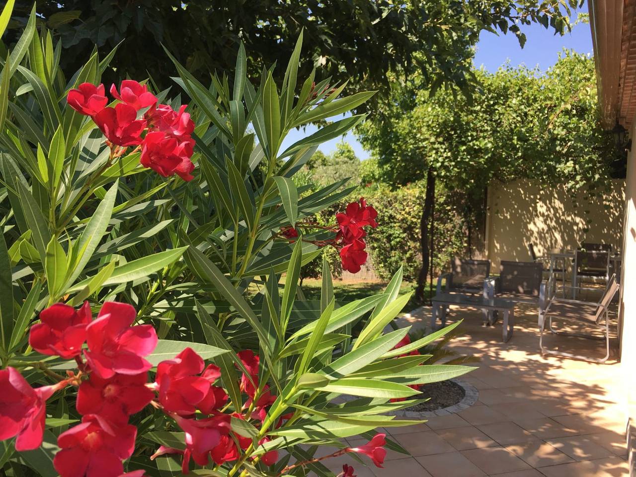 Gîte chez un agriculteur producteur de fruits in Boulbon, Région d'Arles