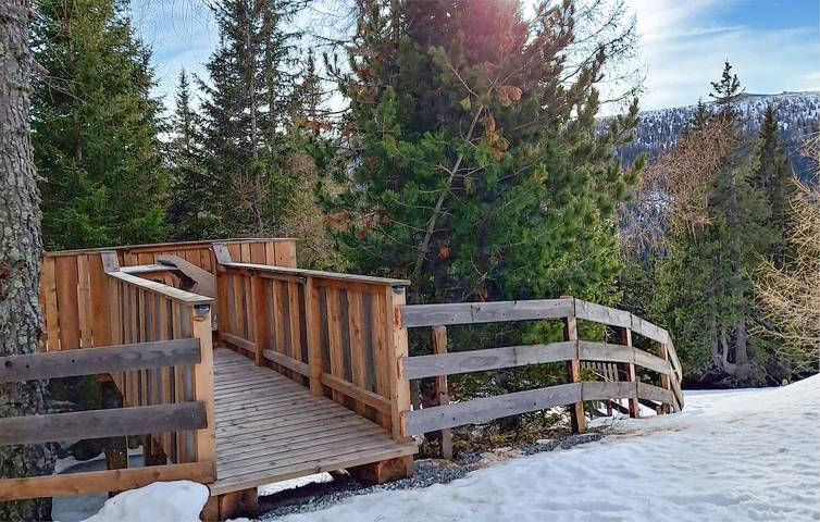 Ferienhaus für 14 Personen, mit Garten und Sauna in der Steiermark - 3