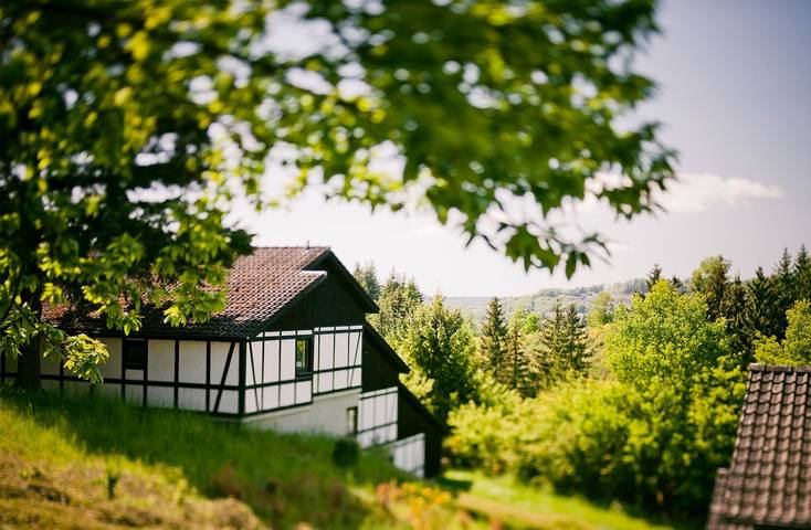 Hotel für 7 Personen, mit Garten und Sauna sowie Pool, mit Haustier in Daun - 3