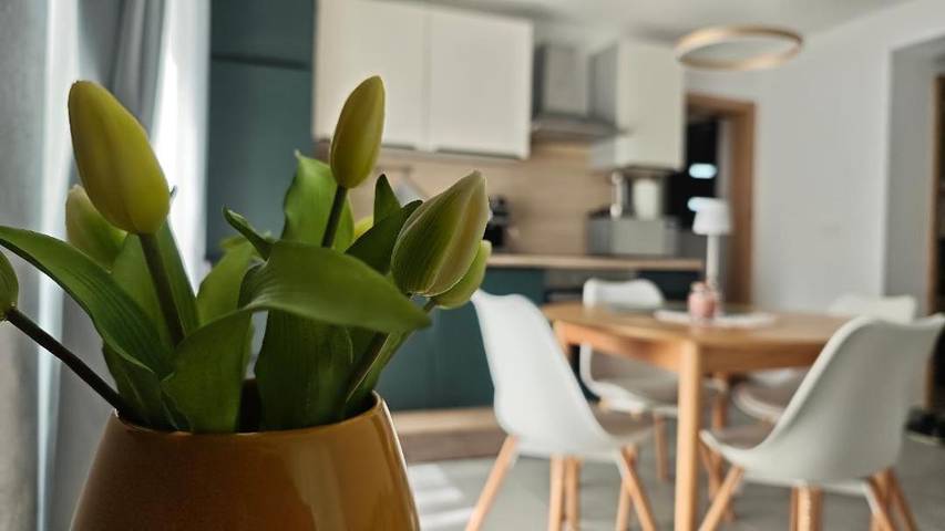 Appartement de vacances pour 4 personnes, avec vue et terrasse