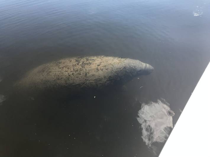 Log cabin for 8 people, with yard, with pets the Florida Panhandle