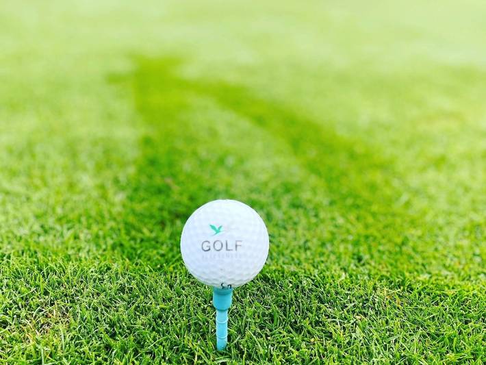 Ferienhaus für 6 Personen, mit Garten und Sauna sowie Terrasse, mit Haustier in Göhren-Lebbin - 4