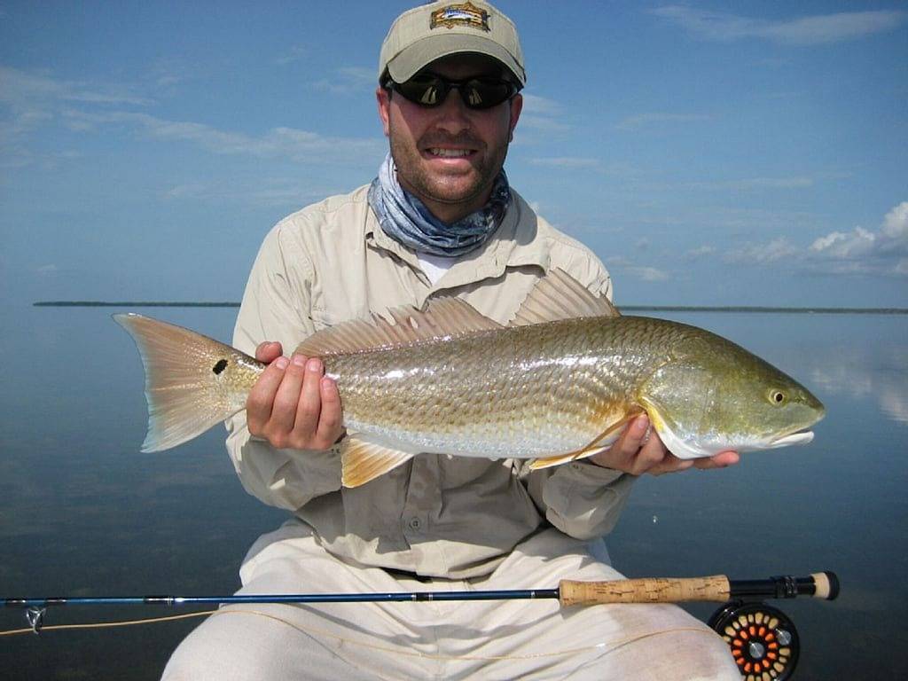 Angler Riff Islamorada * Fahrräder * Kajak * Paddle Boards * Dock * in Windley Key, Islamorada