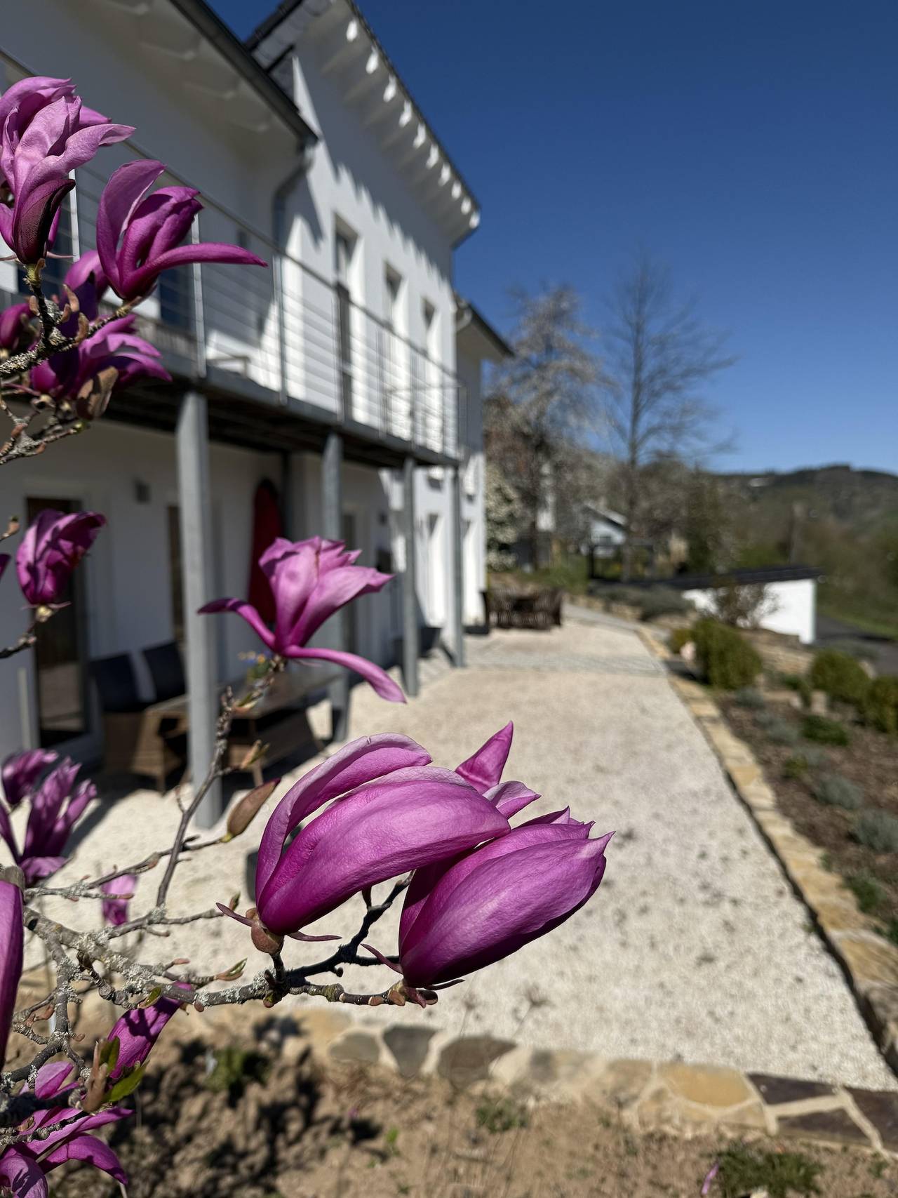 Apartamento vacacional entero, 2-Bettwohnung - 55 m² in Traben-Trarbach, Bernkastel-Kues y alrededores