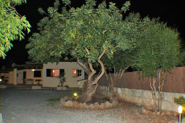 Peaceful villa renovated at 500 metres from Pollensa village  And WIFI Free in Pollença Town, Pollença