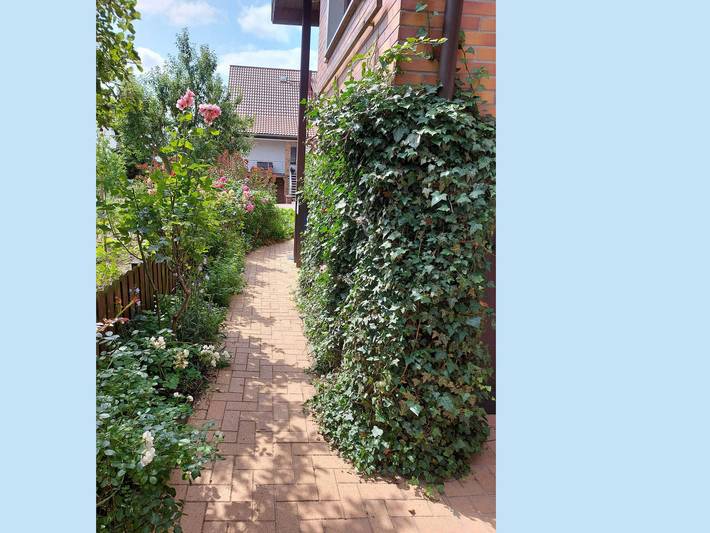 Ferienwohnung für 2 Personen, mit Garten in Rostock und Umgebung - 4